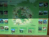2011- 049.jpg